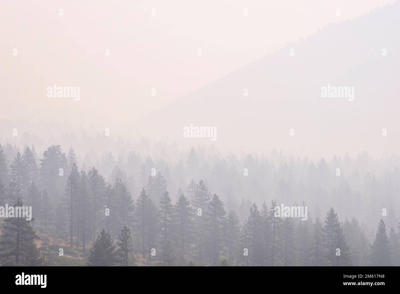 Forêt et montagnes protégées par la fumée au lever du soleil en septembre 2022 Banque D'Images