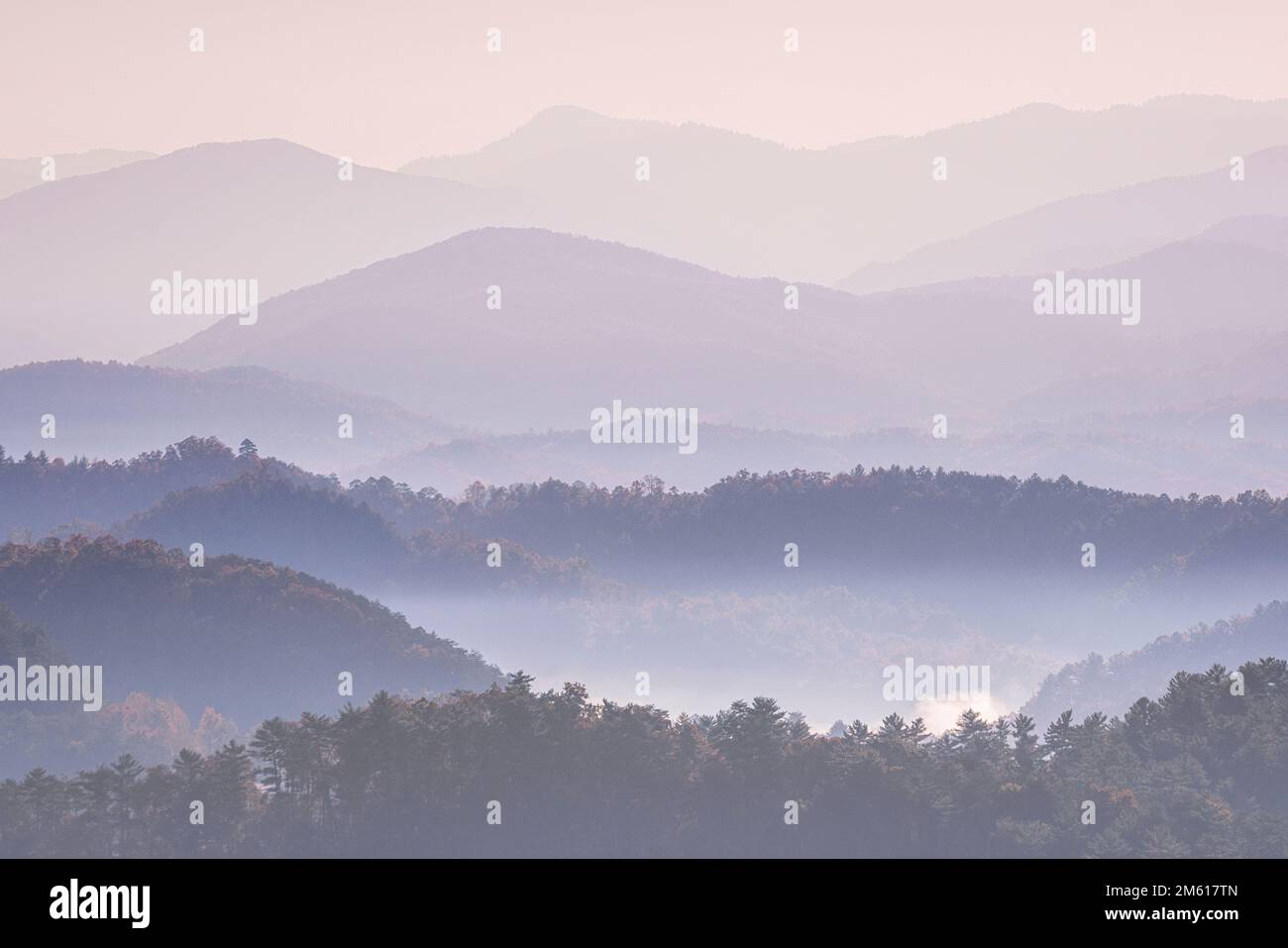 Vue sur les Smoky Mountains classiques depuis Foothills Parkway près de Townsend, Tennessee Banque D'Images