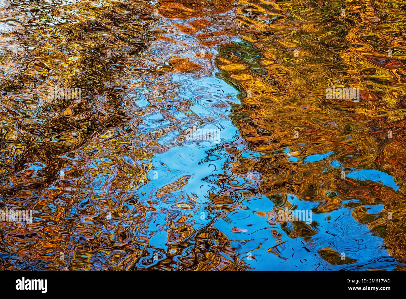 Reflets automnaux colorés dans la rivière Little Pigeon près de Townsend, Tennessee Banque D'Images Reflets automnaux colorés dans la rivière Little Pigeon près de Townsend, Tennessee Banque D'Images