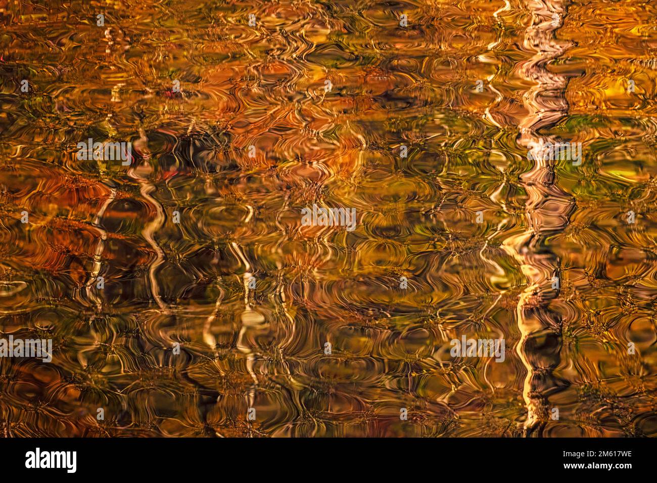 Reflets automnaux colorés dans la rivière Little Pigeon près de Townsend, Tennessee Banque D'Images