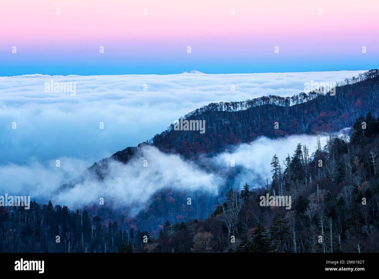 Ciel rose et bleu avec brouillard à Ben Morton, vue sur le parc national des Great Smoky Mountains dans le Tennessee Banque D'Images
