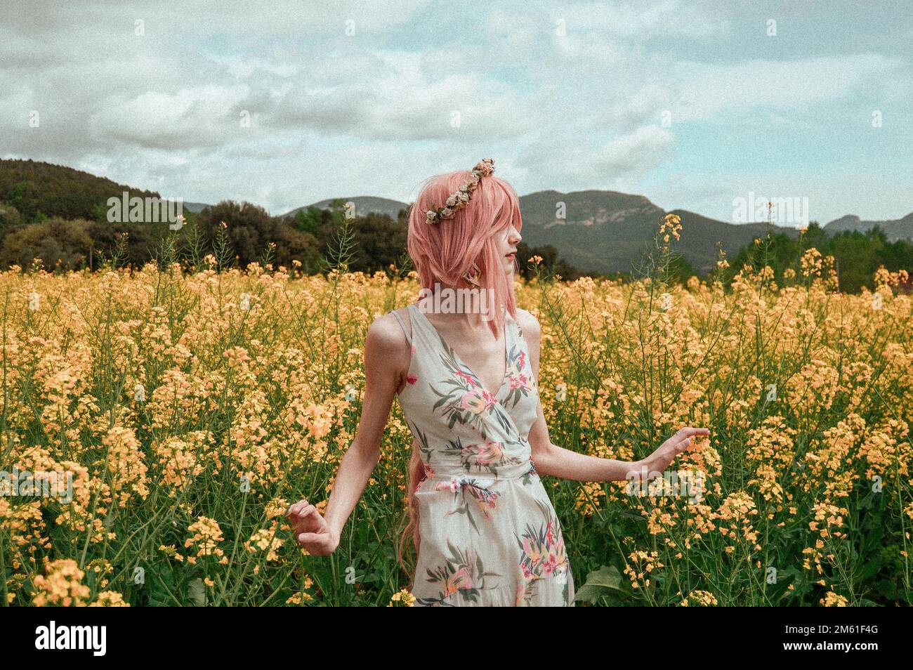 Fille dans une longue robe d'été en mousseline, portant une perruque rose  et une couronne de fleur, des images dans un champ de fleurs, avec ciel  clair et un filtre de rêve