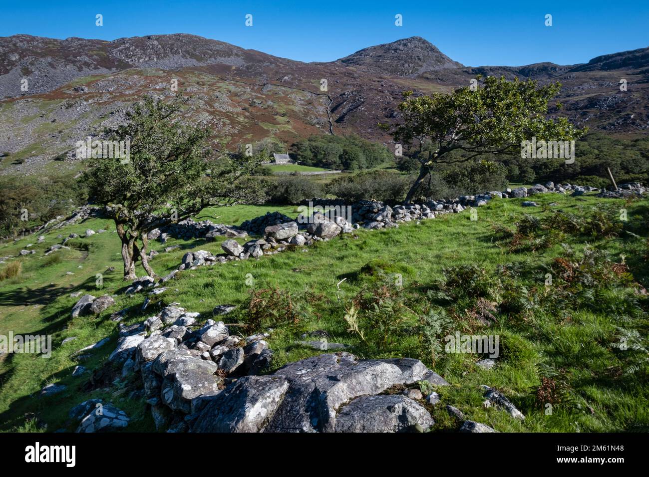 MCG Bychan Farmhouse and clip, MCG Bychan, Rhinogydd, parc national de Snowdonia, pays de Galles du Nord, ROYAUME-UNI Banque D'Images