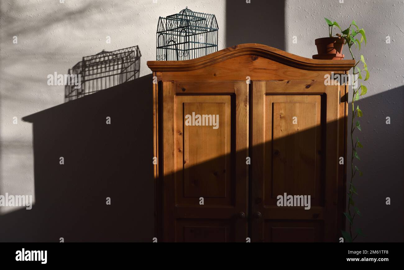 Armoire, plante en pot, cage d'oiseau décorative et ombre Banque D'Images