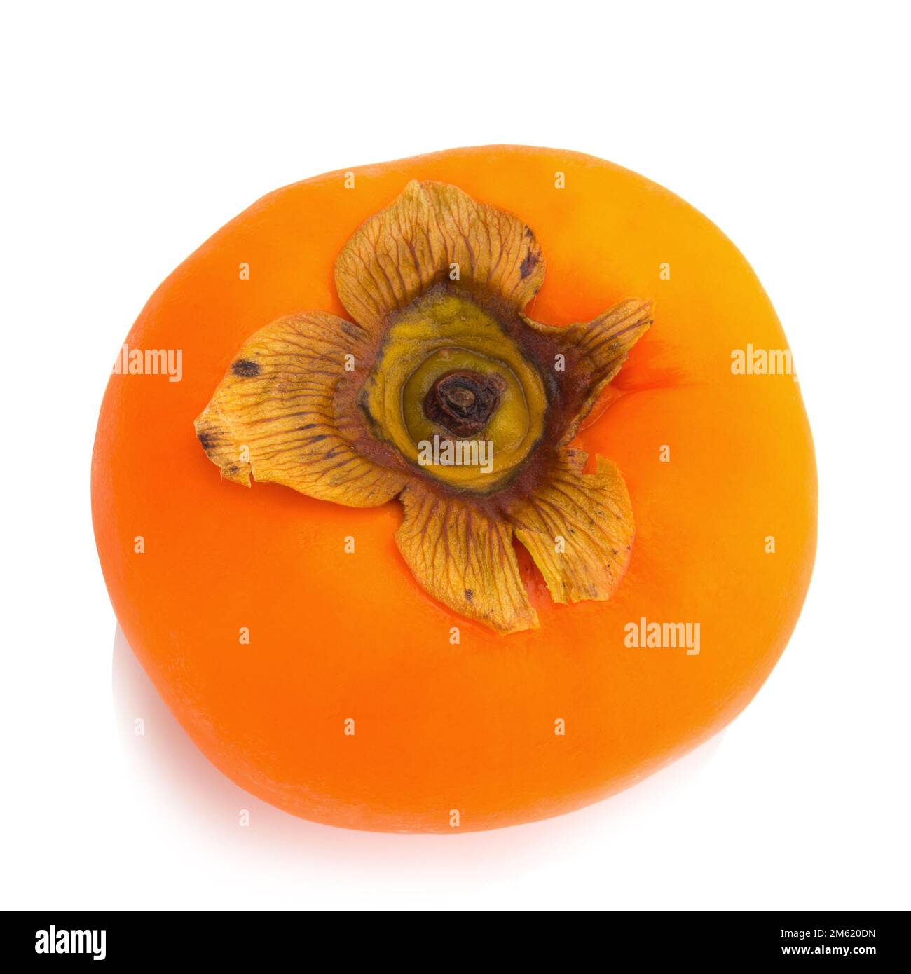 Fruit persimmon isolé sur fond blanc. Banque D'Images