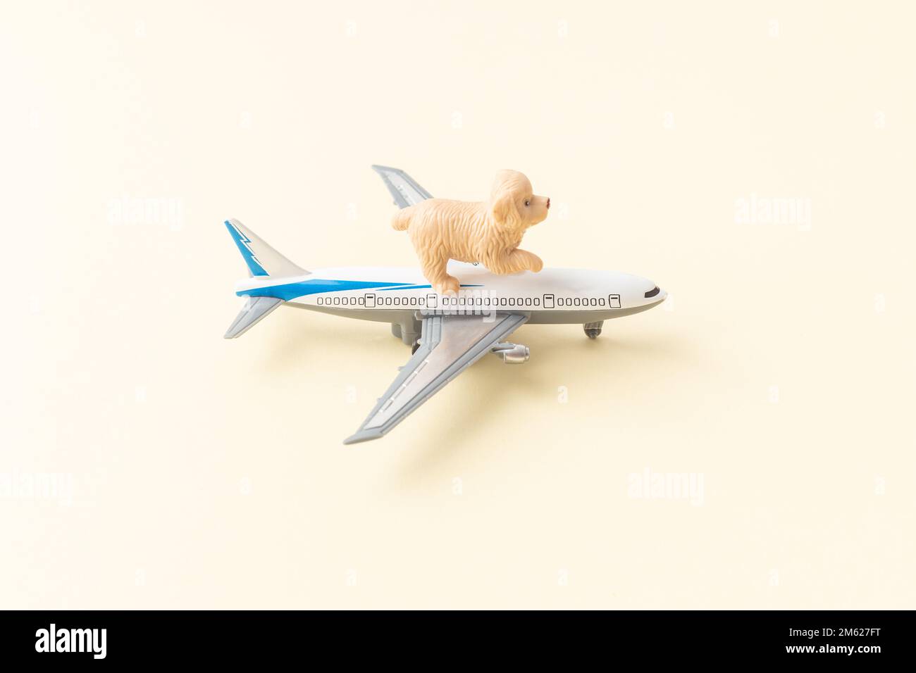 Animaux de compagnie chiens expédition concept par avion Banque D'Images