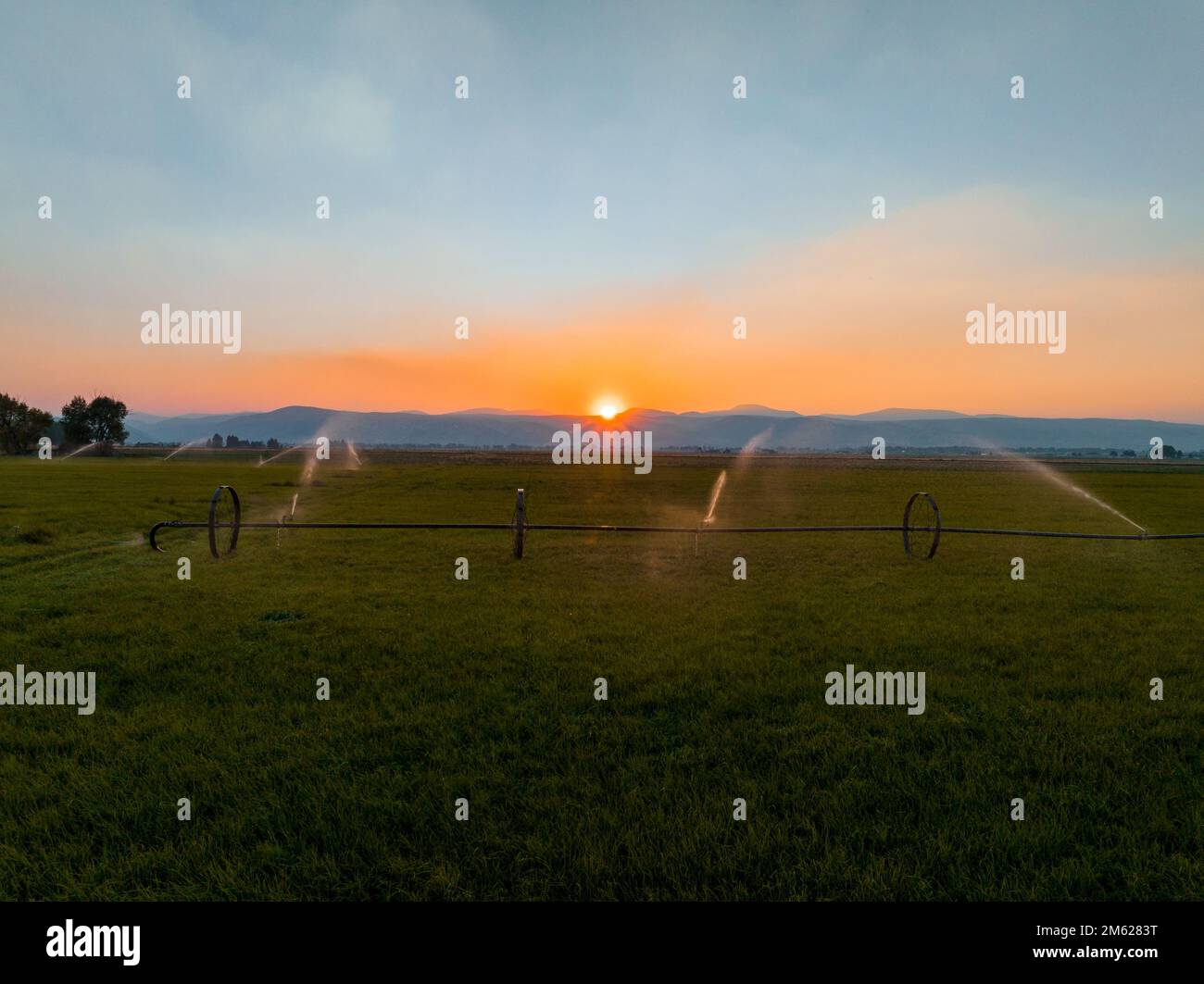 Arroseurs d'eau irriguant un champ. Banque D'Images