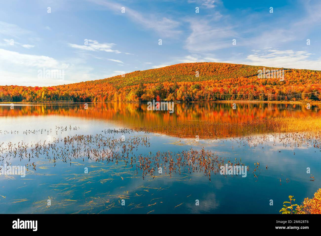 Réservoir de Pontook sur la rivière Androscoggin en automne. Dummer. Comté de Coos. New Hampshire. ÉTATS-UNIS Banque D'Images Réservoir de Pontook sur la rivière Androscoggin en automne. Dummer. Comté de Coos. New Hampshire. ÉTATS-UNIS Banque D'Images