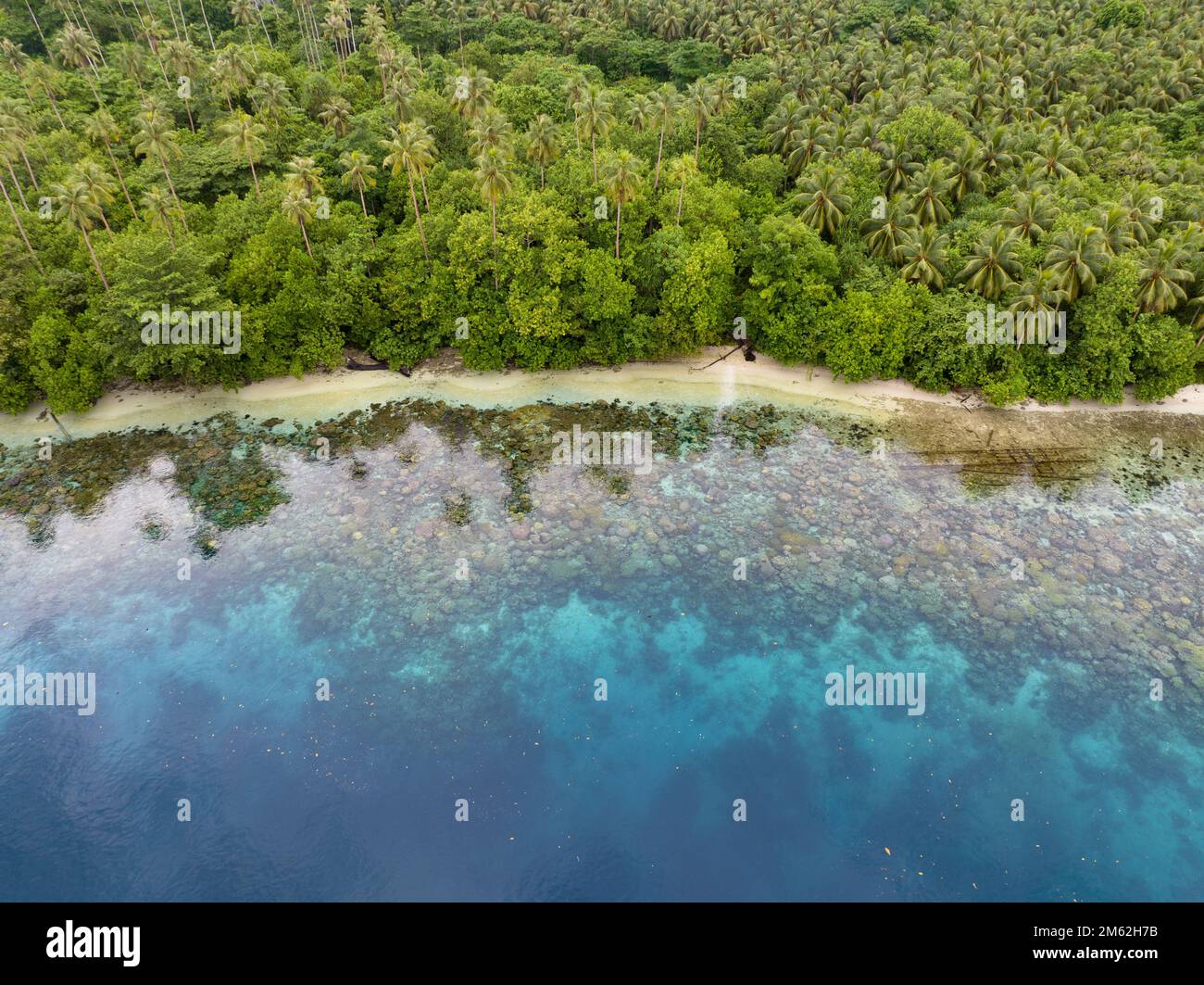 Une île tropicale luxuriante est bordée d'un récif de corail dans les îles Salomon. Ce beau pays abrite une biodiversité marine spectaculaire. Banque D'Images