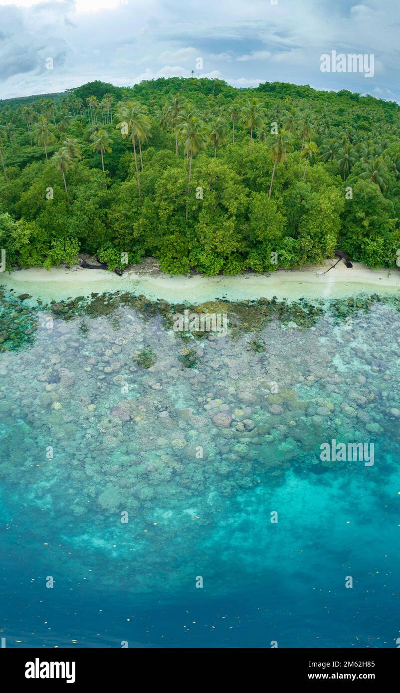 Une île tropicale luxuriante est bordée d'un récif de corail dans les îles Salomon. Ce beau pays abrite une biodiversité marine spectaculaire. Banque D'Images