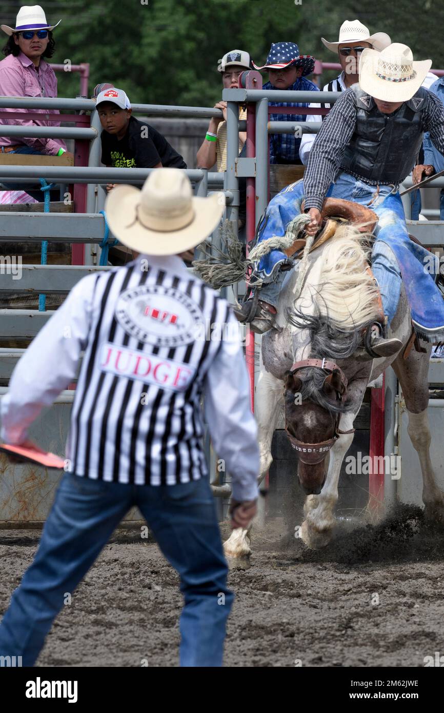 Pilote de selle au rodéo de la nation Tsuut’ina, Alberta Canada Banque D'Images