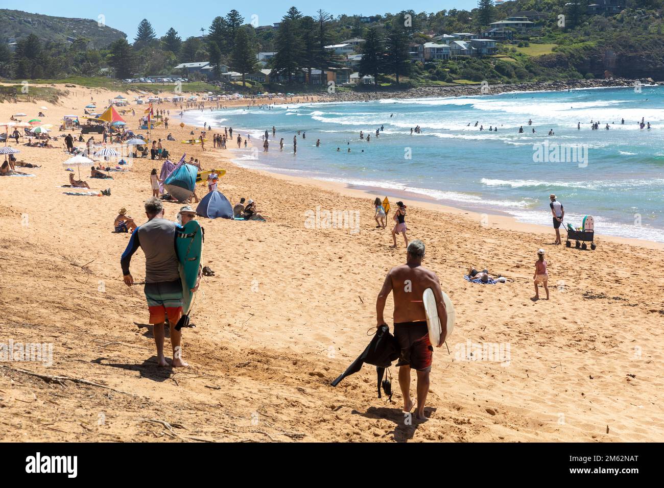 Deux hommes âgés d'âge moyen à cheveux gris portent leurs planches de surf sur l'océan à Avalon Beach, Sydney, Australie Banque D'Images