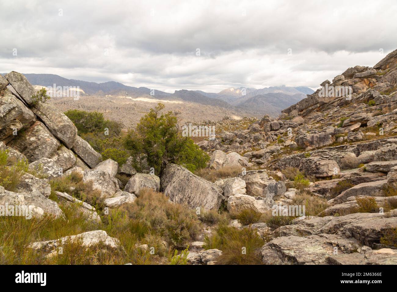 Paysage pierreux près de Tulbagh dans le Cap occidental de l'Afrique du Sud, pris lors d'une randonnée dans les montagnes Banque D'Images