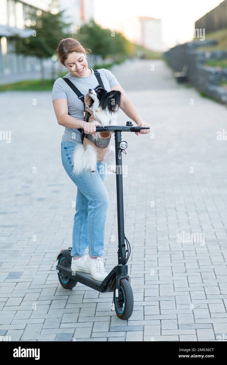 Une femme prend un scooter électrique avec un chien dans un sac à dos. Papplion Spaniel Continental dans une anse à bande. Verticale. Banque D'Images Une femme prend un scooter électrique avec un chien dans un sac à dos. Papplion Spaniel Continental dans une anse à bande. Verticale. Banque D'Images