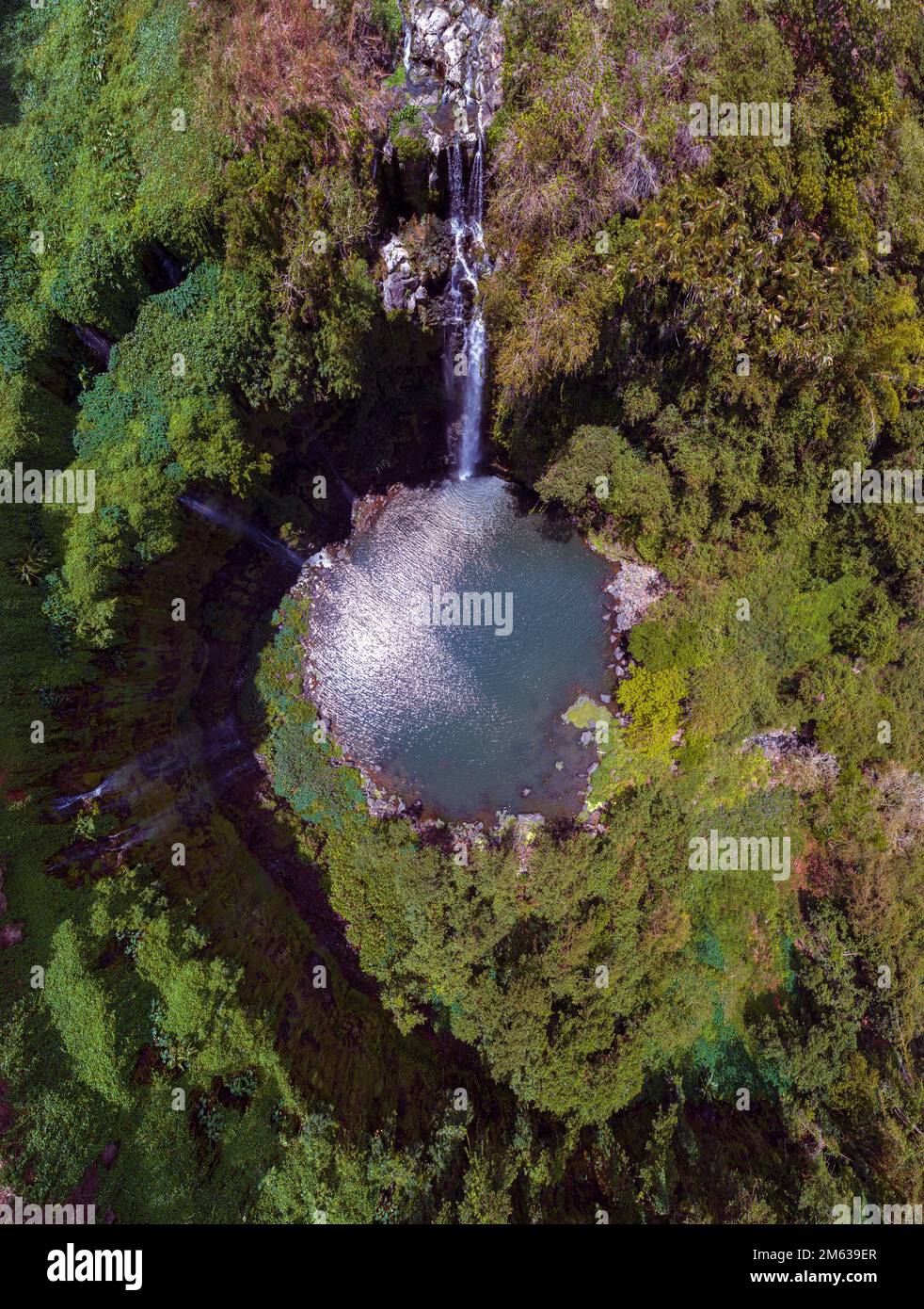 Cascade de Balfour. La cascade des jardins Ebene Balfour. C'est une