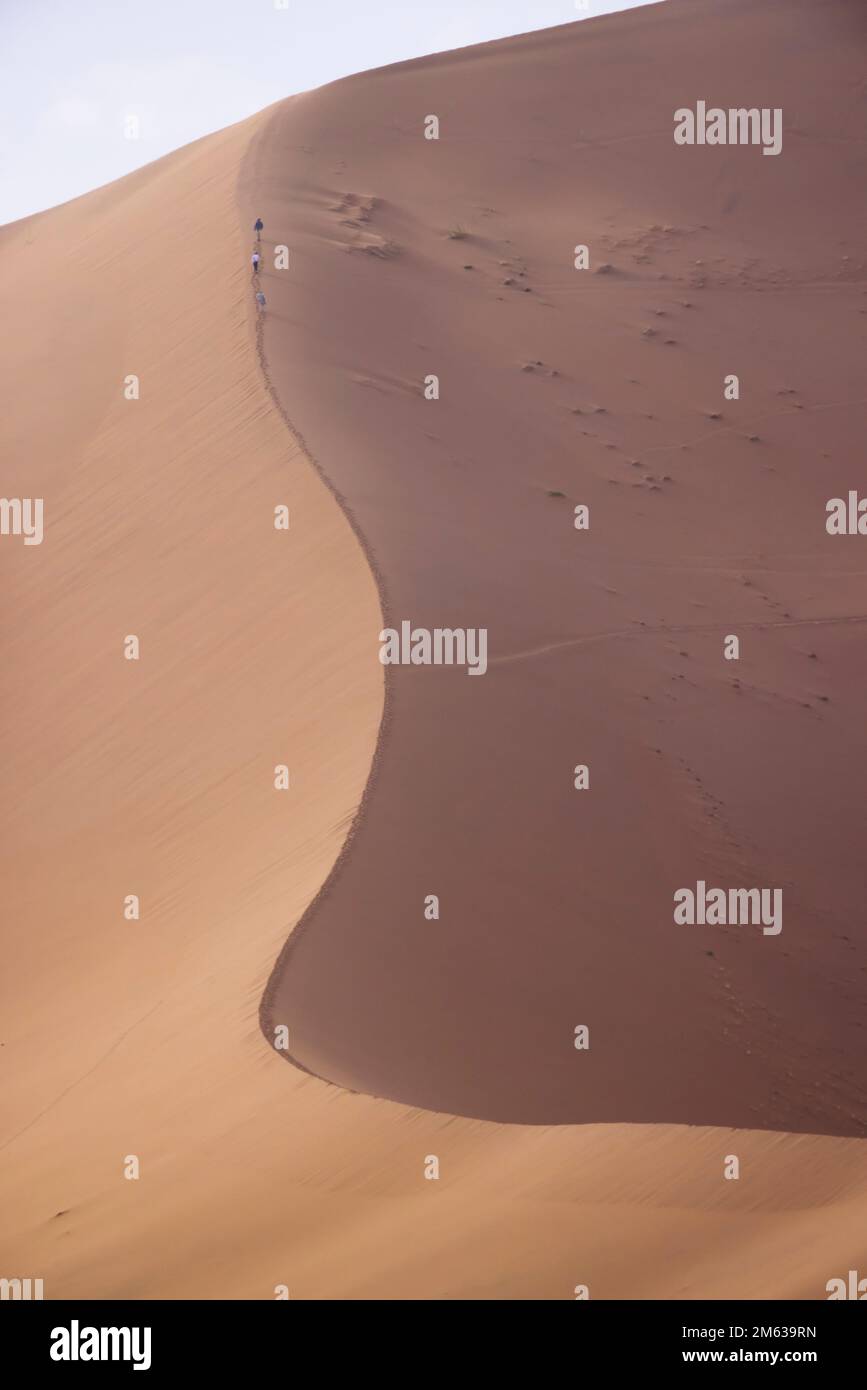 Paysage abstrait de magnifiques dunes de sable de terre désertique dans la lumière douce et chaude du soleil avec ciel clair Banque D'Images
