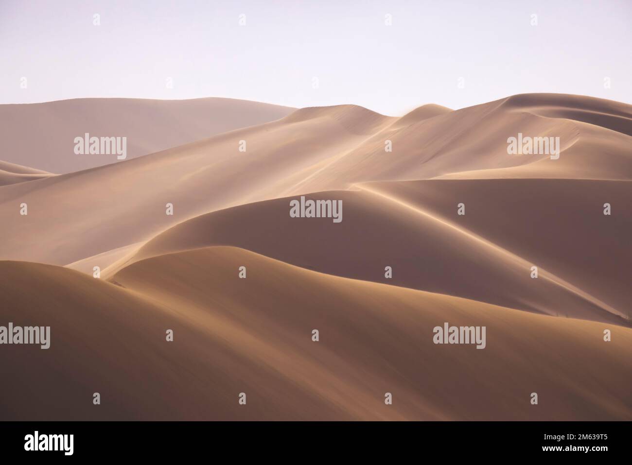 Paysage abstrait de magnifiques dunes de sable de terre désertique dans la lumière douce et chaude du soleil avec ciel clair Banque D'Images