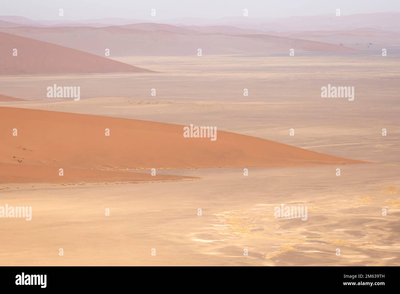 Paysage abstrait de magnifiques dunes de sable de terre désertique dans la lumière douce et chaude du soleil avec ciel clair Banque D'Images