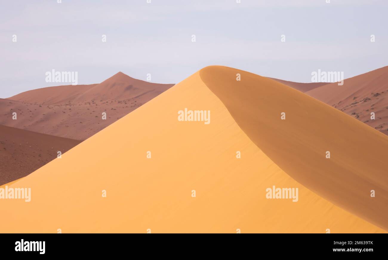 Paysage abstrait de magnifiques dunes de sable de terre désertique dans la lumière douce et chaude du soleil avec ciel clair Banque D'Images