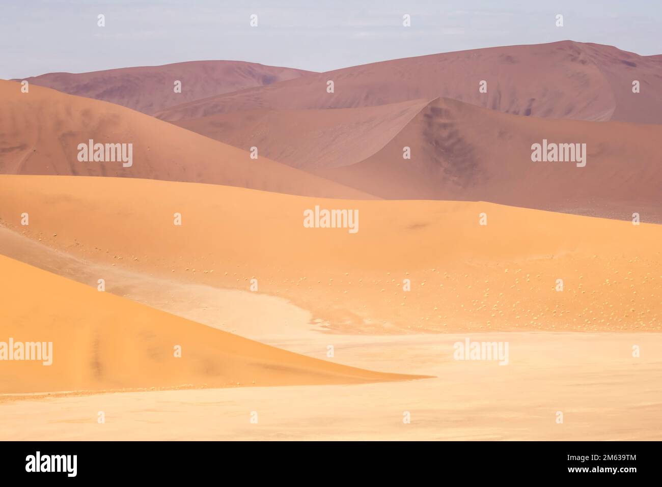Paysage abstrait de magnifiques dunes de sable de terre désertique dans la lumière douce et chaude du soleil avec ciel clair Banque D'Images
