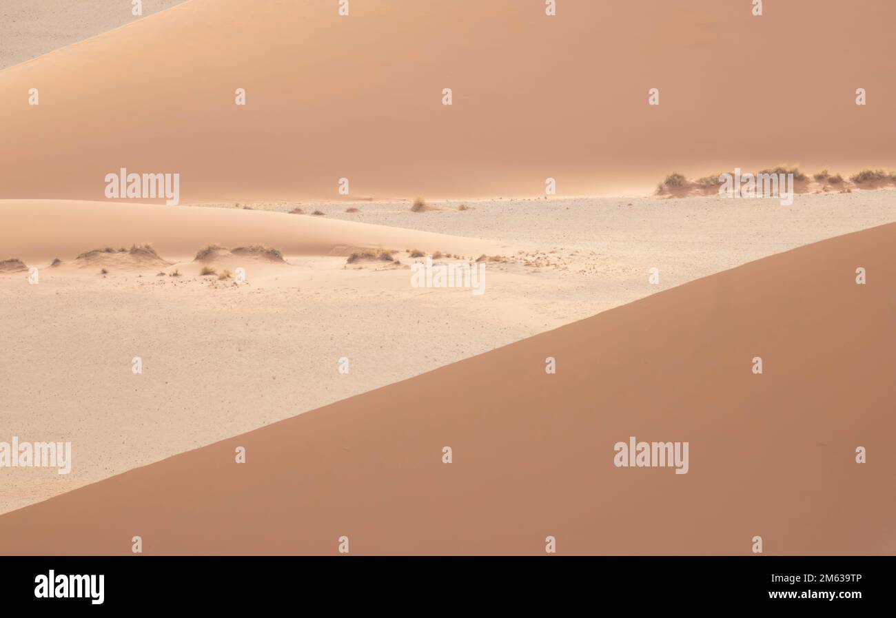 Paysage abstrait de magnifiques dunes de sable de terre désertique dans la lumière douce et chaude du soleil Banque D'Images