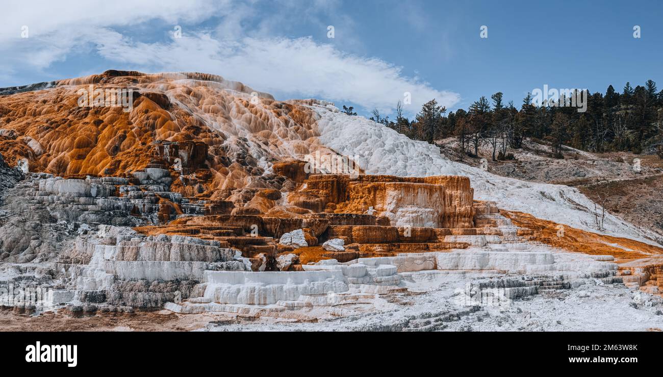 Dépôt minéral coloré à Mammoth Hot Springs dans le parc national de Yellowstone, Wyoming, États-Unis. Mammoth Hot Springs est un grand complexe de sp Banque D'Images
