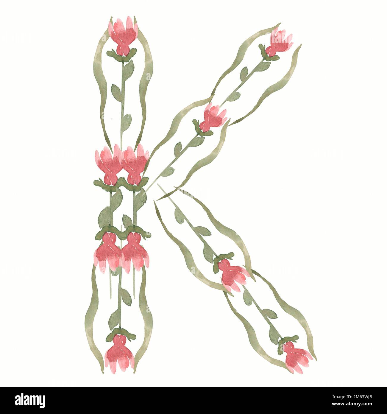 Aquarelle Monogramme floral lettre K. alphabet ABC dessiné à la main. Caractères génériques. Banque D'Images