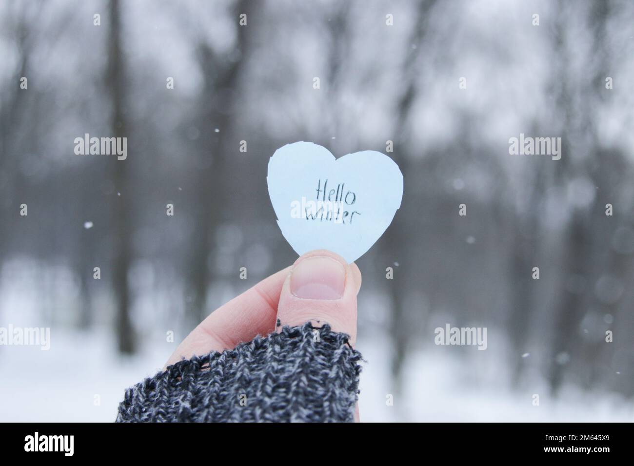 Bonjour hiver. Une main tient un coeur bleu de papier avec l'inscription sur le fond de la forêt d'hiver. Banque D'Images