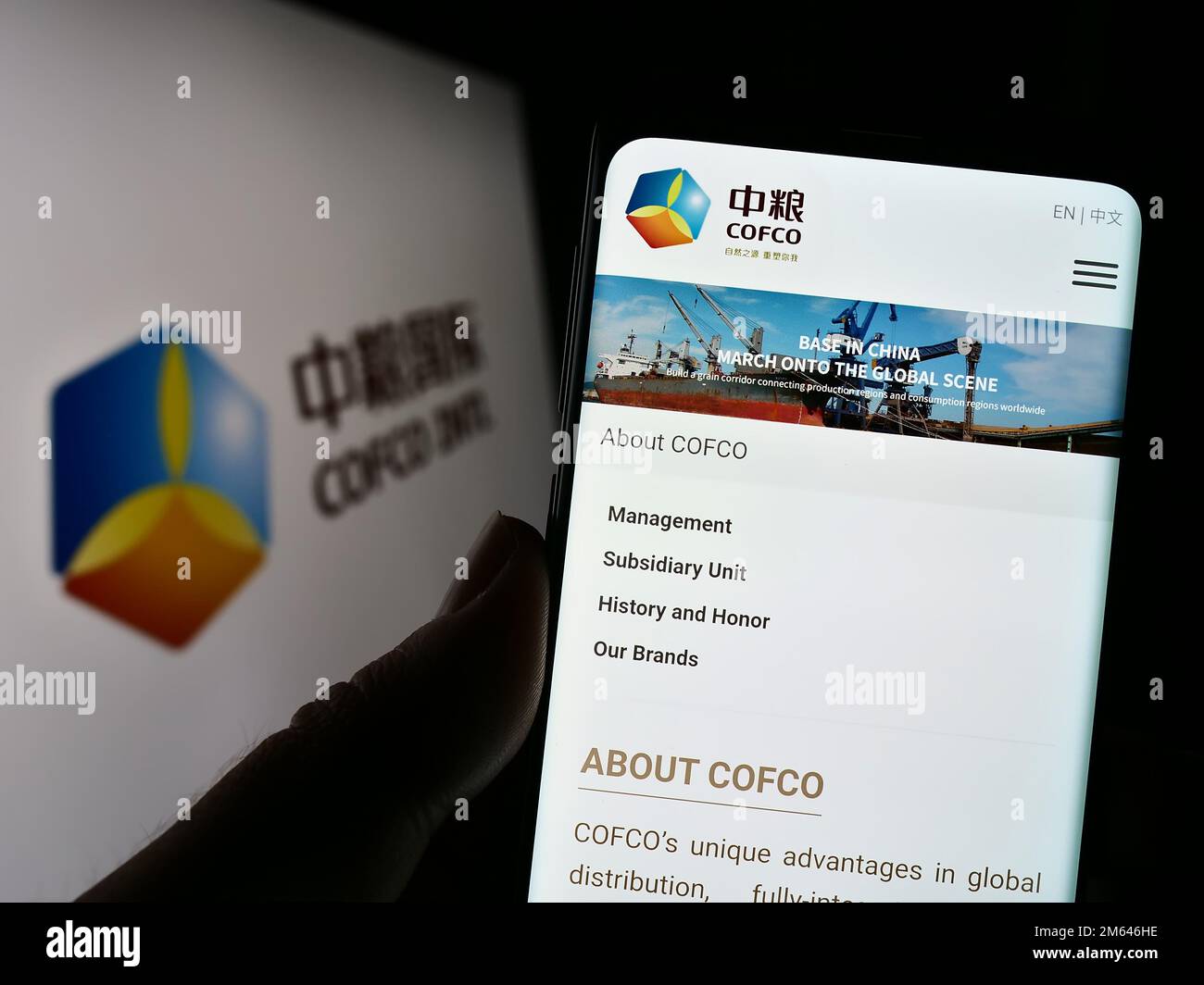 Personne tenant un smartphone avec le site Web de China Oil and agro Corporation (COFCO) à l'écran avec le logo. Concentrez-vous sur le centre de l'écran du téléphone. Banque D'Images