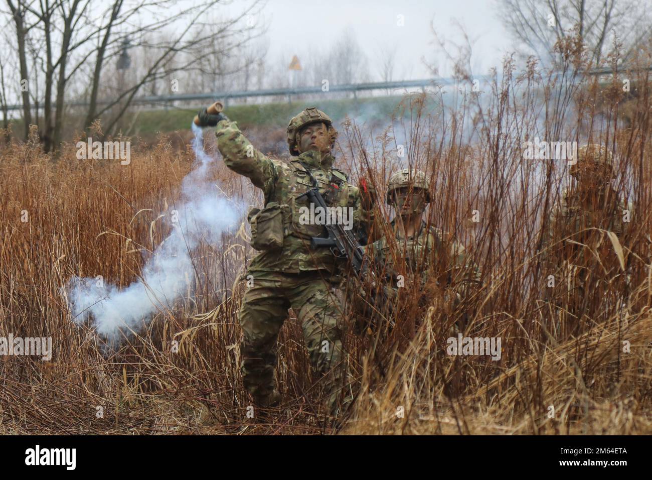 A ÉTATS-UNIS Le parachutiste affecté à l'équipe de combat de la Brigade 3rd, la division aéroportée 82nd lance une grenade à fumée pour dissimulation d'une équipe de brèche, dans le cadre d'un exercice d'entraînement conjoint avec l'armée polonaise près de Zamosc, en Pologne, au 31 mars. L'équipe de combat de 3rd Brigade, 82nd Airborne Division, est déployée en Pologne pour améliorer notre état de préparation et renforcer notre Alliance de l'OTAN. Banque D'Images