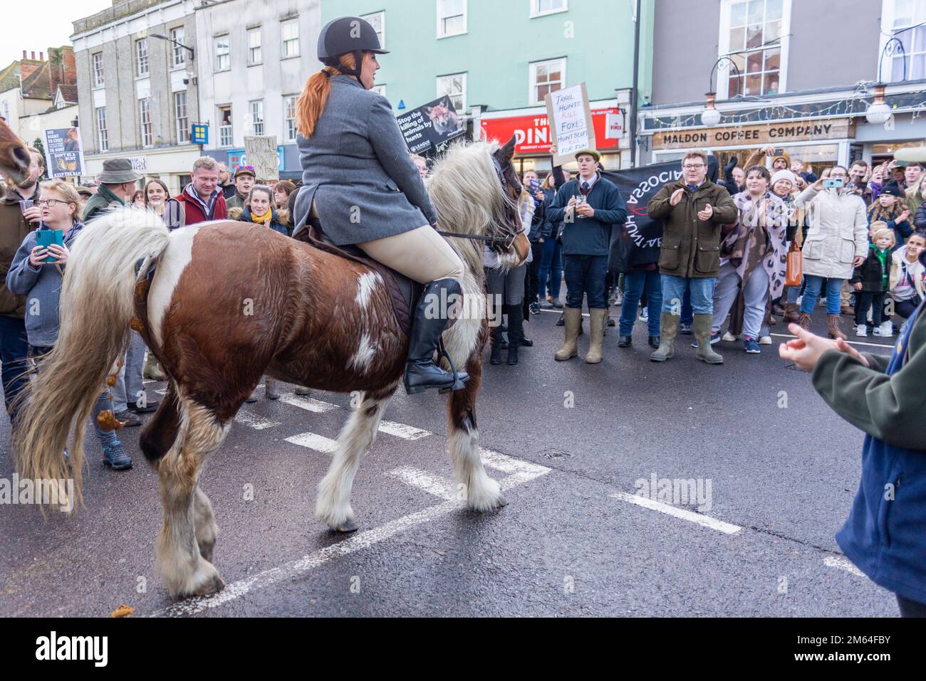 Silver Street, Maldon, Essex, Royaume-Uni. 2nd janvier 2023. L’Essex avec Farmers & Union Hunt a défilé leurs chevaux et leurs chiens le long de Maldon High Street pour leur réunion annuelle du jour de l’an. Supporters and action contre les manifestants anti-chasse à la chasse aux renards ont assisté à l'événement Banque D'Images