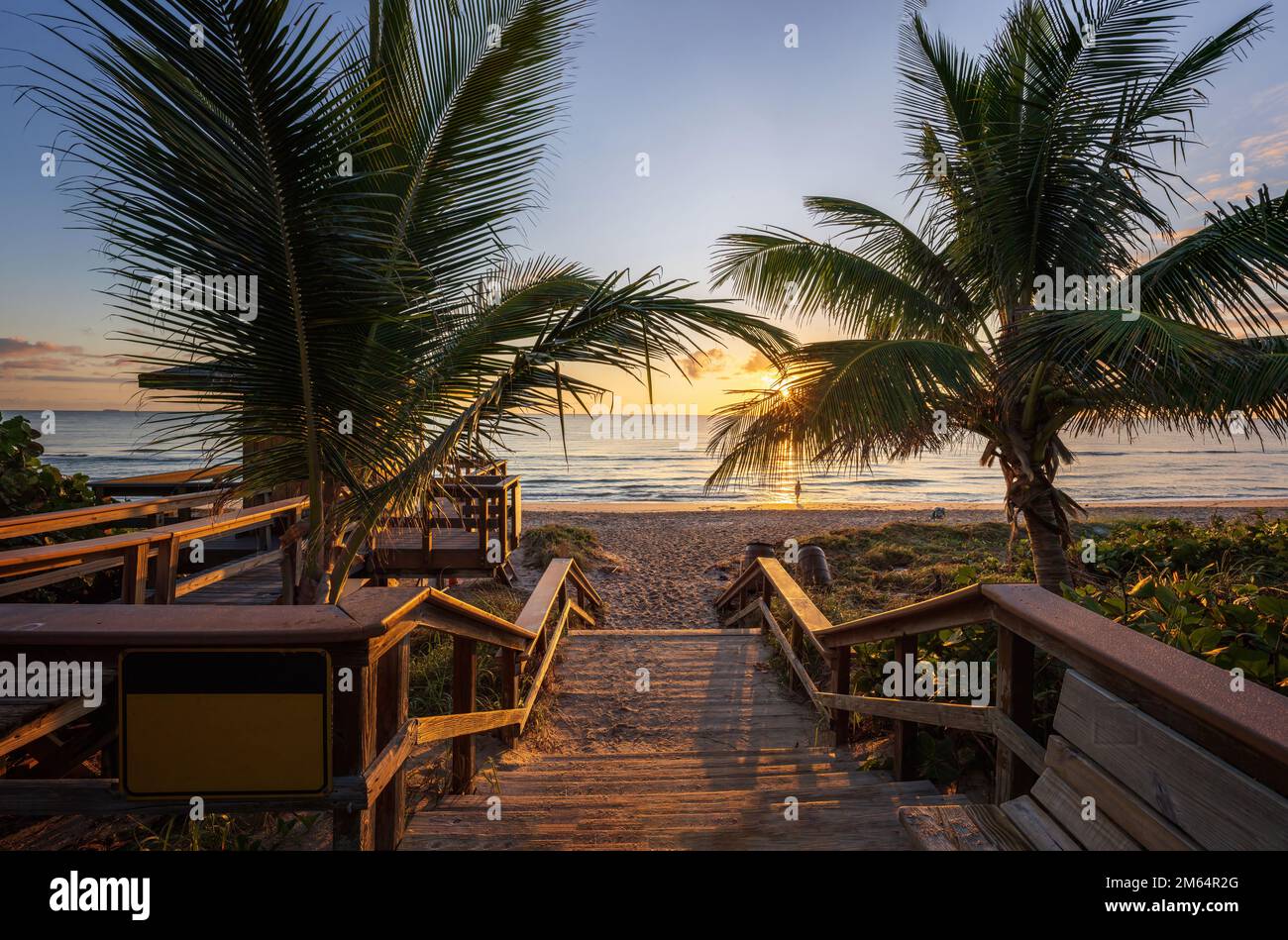 Le soleil levant brille à travers les palmiers sur une plage de Floride. Banque D'Images