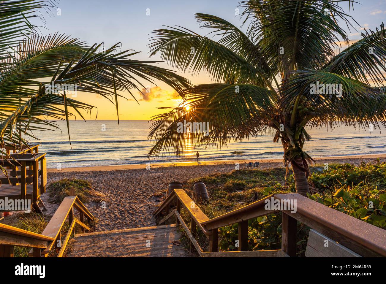 Le soleil levant brille à travers les palmiers sur une plage de Floride. Banque D'Images