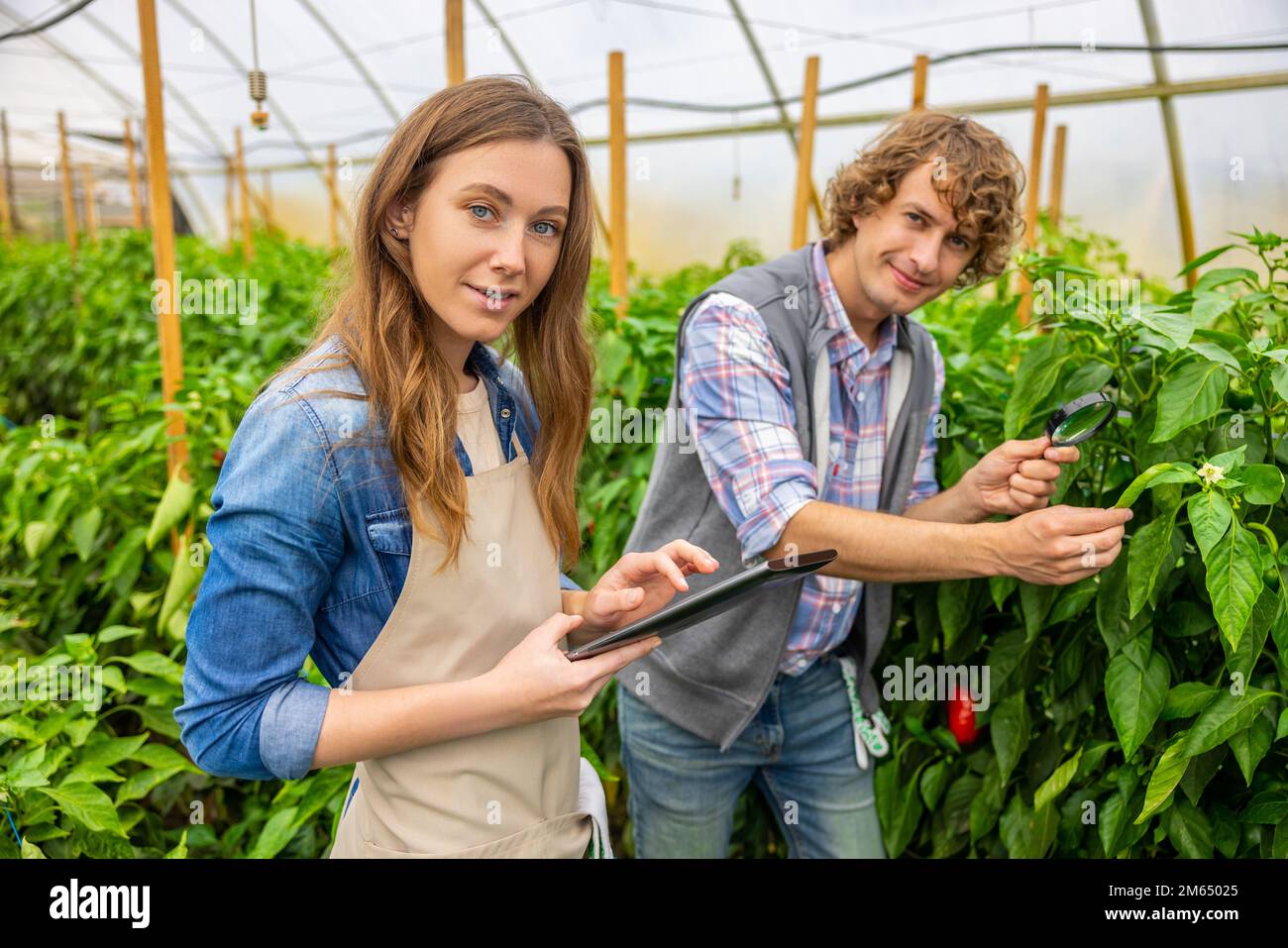 Les scientifiques agricoles posant pour la caméra au travail Banque D'Images