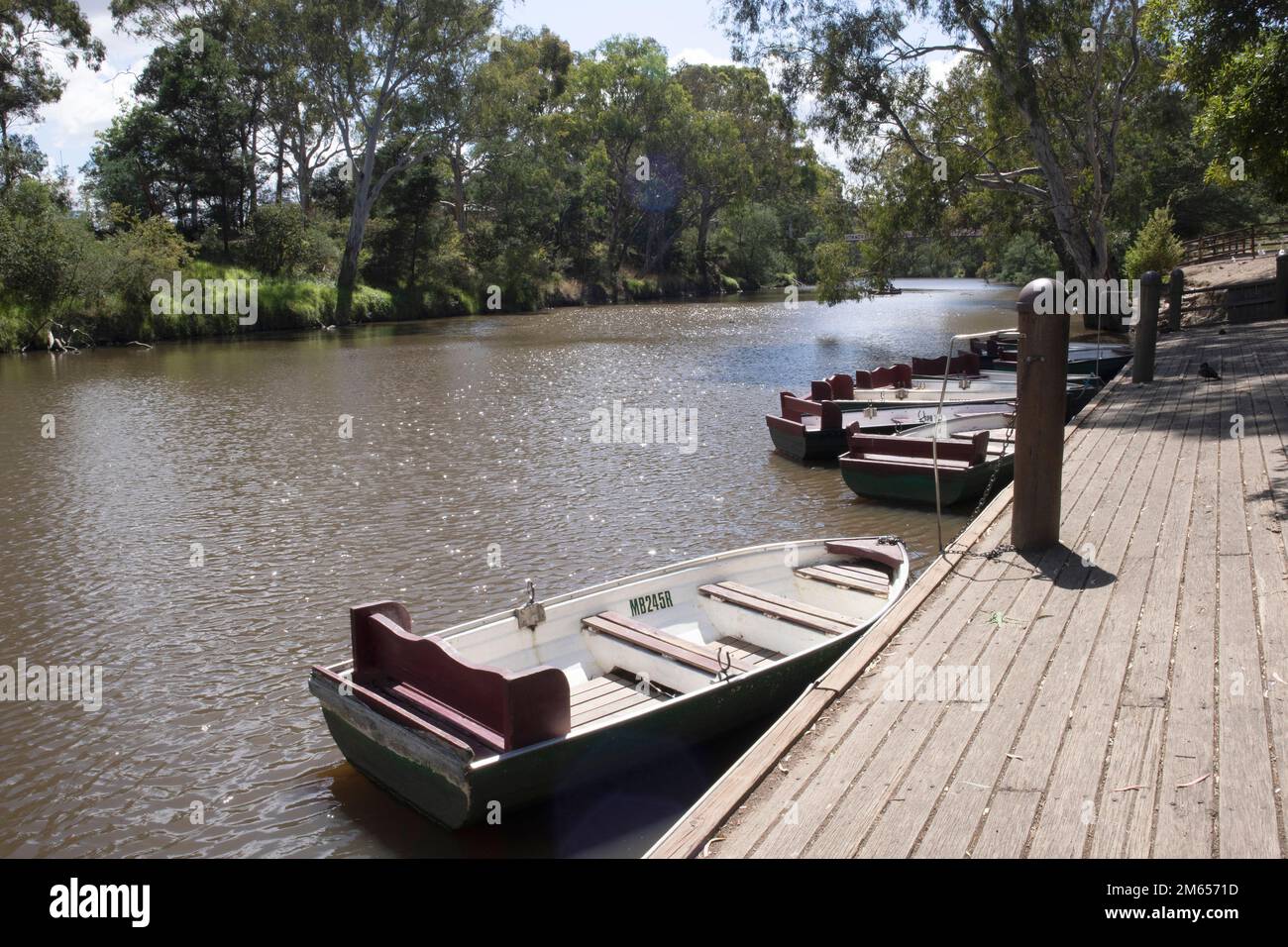 La Yarra River et les bateaux à rames à Studley Park, Melbourne, Victoria, Australie Banque D'Images