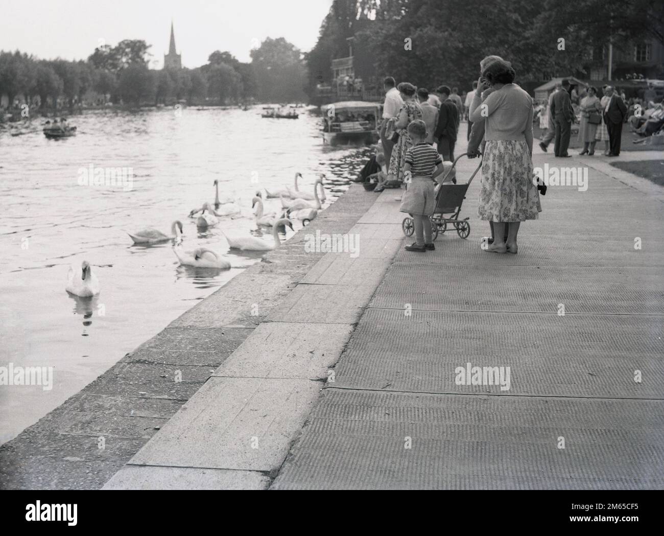 1950s, historique, les gens nourrissant les cygnes sur un chemin ou un chemin à côté de la rivière Avon à Stratford upon Avon, Warwickshire, Angleterre, Royaume-Uni, célèbre comme la ville natale du dramaturge anglais, William Shakespeare. La flèche de l'église Sainte Trinty située dans la vieille ville peut être vue au loin, l'église où William Shakespeare a été baptisé, marié et où lui et sa femme Anne Hathaway sont enterrés. Banque D'Images