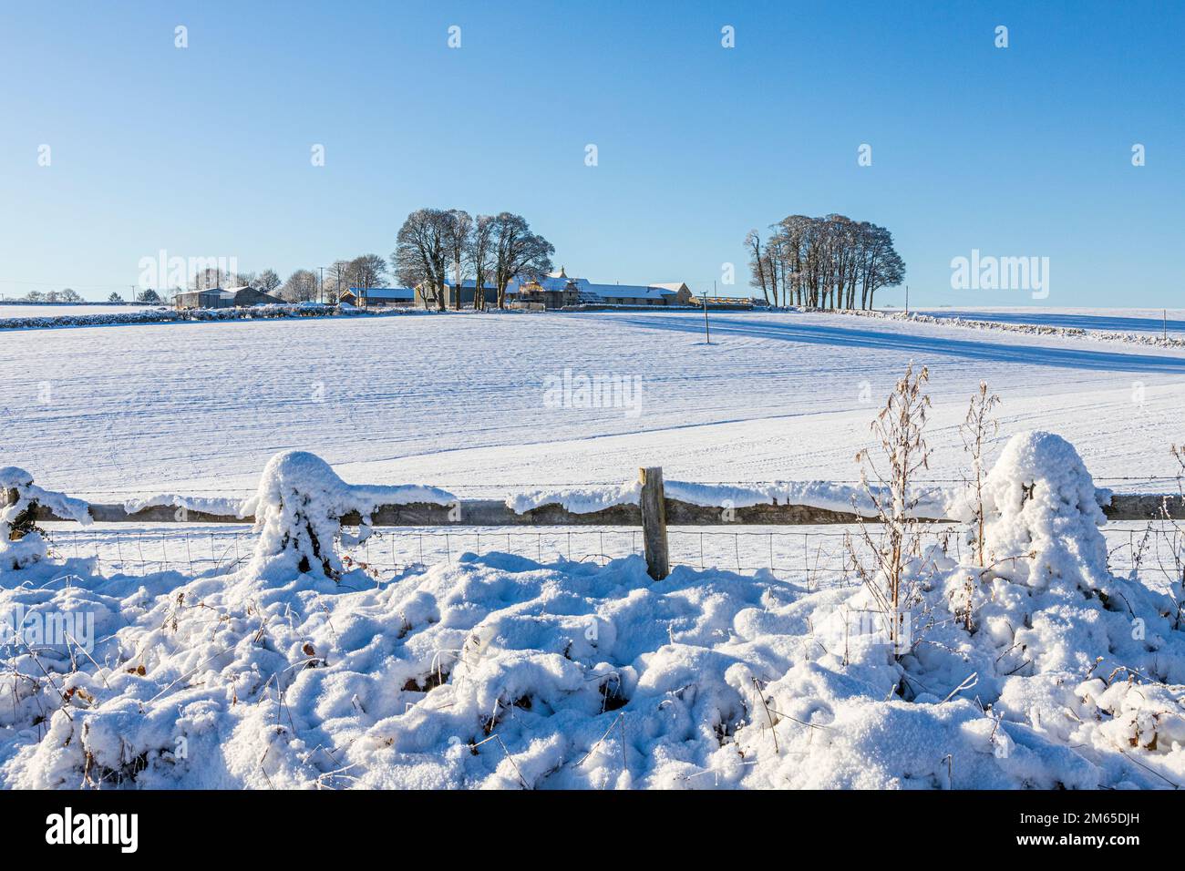 Neige du début de l'hiver sur Blacklains Farm près du village de Birdlip, Gloucestershire, Angleterre Banque D'Images