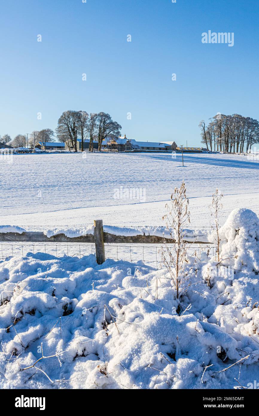 Neige du début de l'hiver sur Blacklains Farm près du village de Birdlip, Gloucestershire, Angleterre Banque D'Images