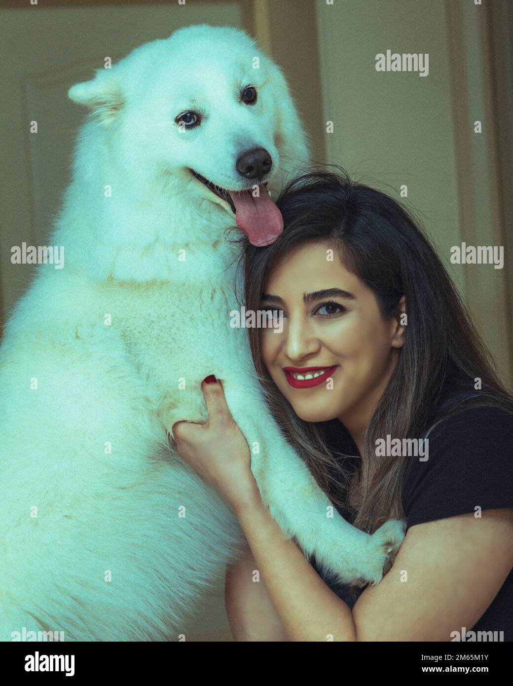 chien Banque D'Images