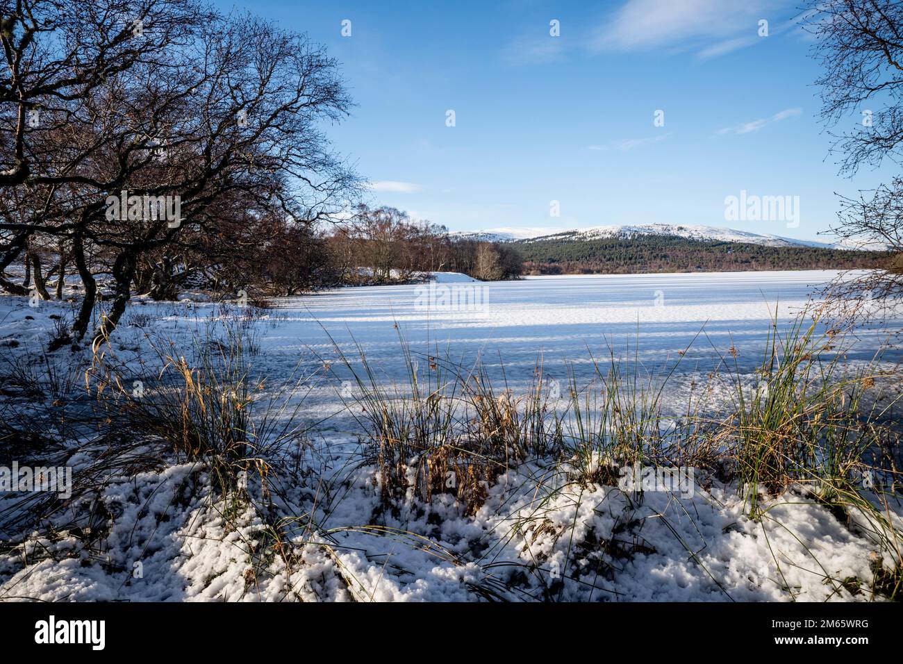 Loch Kinord au Muir de Dinnet National nature Reserve Aberdeeshire Ecosse Banque D'Images