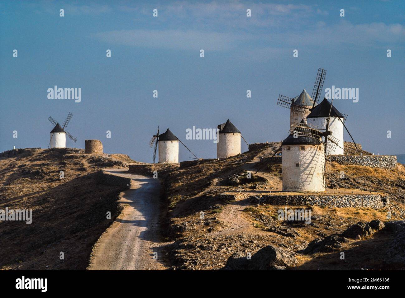 Moulins à vent Espagne, vue en été des moulins à vent blancs historiques situés sur une colline à Consuegra au-dessus de la plaine de la Mancha, Castilla-la Mancha, Espagne Banque D'Images