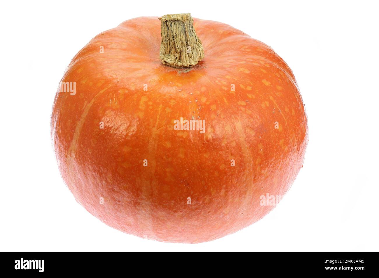 courge kuri rouge biologique isolée sur fond blanc Banque D'Images