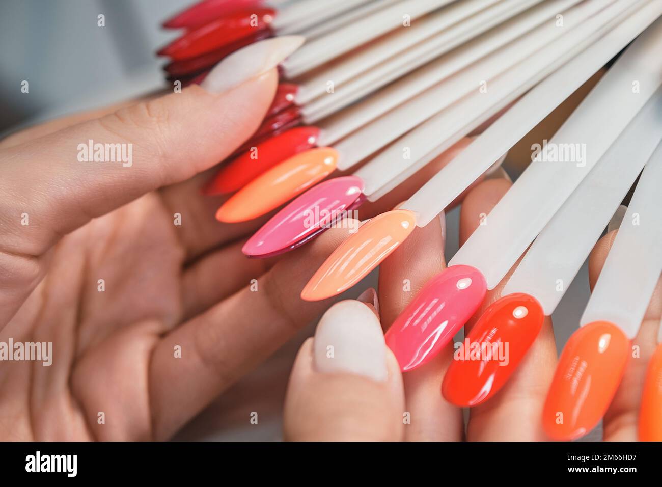 Palette de couleurs, ongles artificiels pour la manucure. Gros plan. Banque D'Images