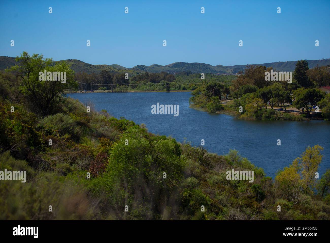Le lac O'Neill, situé sur le camp de base du corps des Marines Pendleton, en Californie, est une destination populaire pour la pêche et le camping et abrite une grande variété de faune, 7 avril 2022, . À la suite de la prise en charge par le département de la sécurité environnementale de Pendleton de la protection de l’environnement et des habitats fauniques, le gnatcatcher de Californie et le rat kangourou ont été réduits d’espèces menacées à des espèces menacées. La protection des habitats menacés et en voie de disparition permet également au Camp Pendleton de maintenir le même environnement d'entraînement et les mêmes possibilités d'entraînement de qualité pour les corps de Marine opérationnels Banque D'Images
