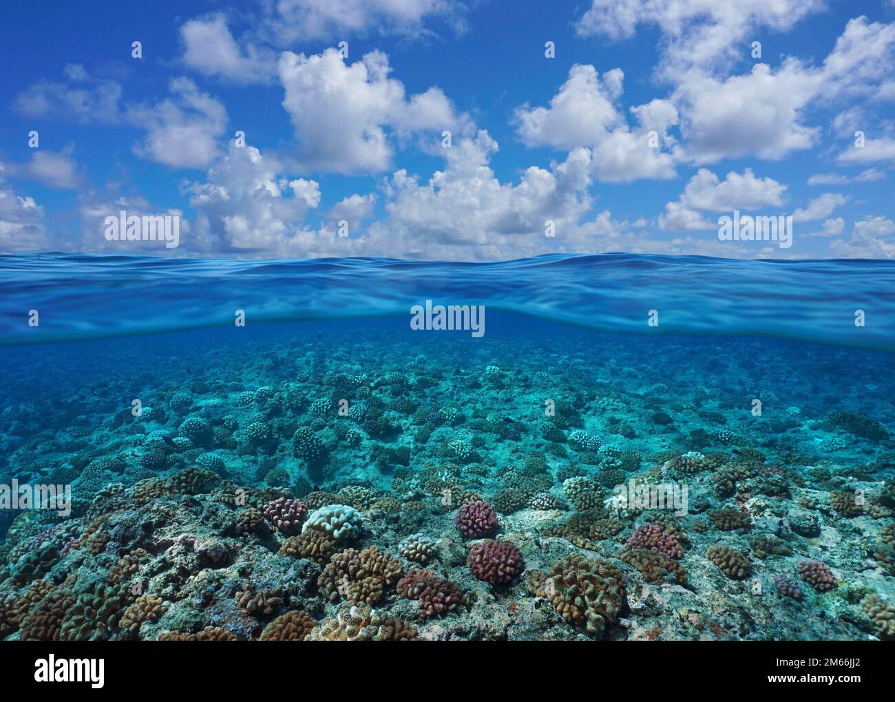 Paysage marin de l'océan Pacifique, récif de corail sous l'eau avec ciel bleu et nuage, vue sur et sous la surface de l'eau, Polynésie française Banque D'Images