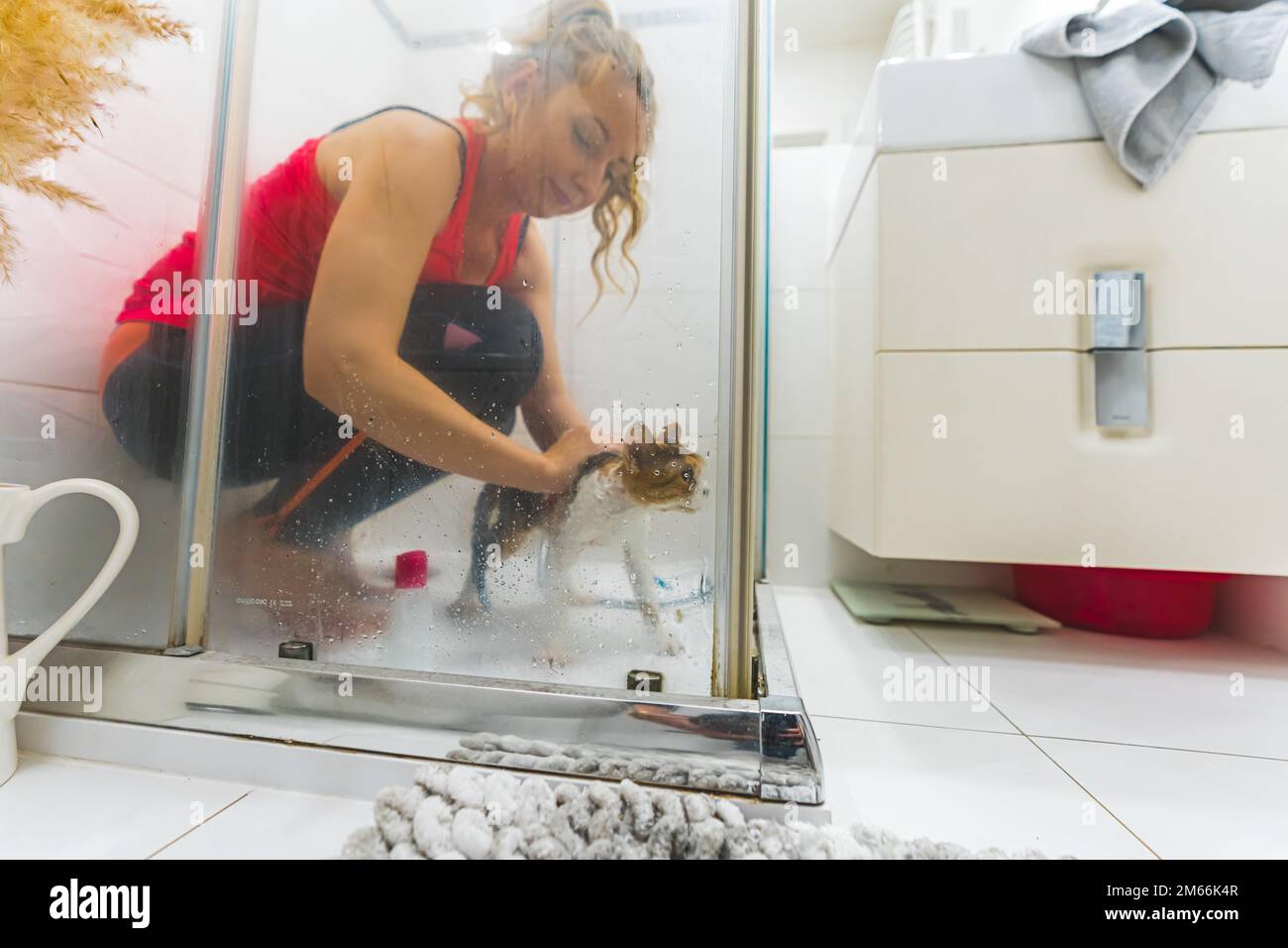 Plan moyen d'une femme dans un haut rouge douche un chat dans une salle de bains douche, prise du côté. Photo de haute qualité Banque D'Images