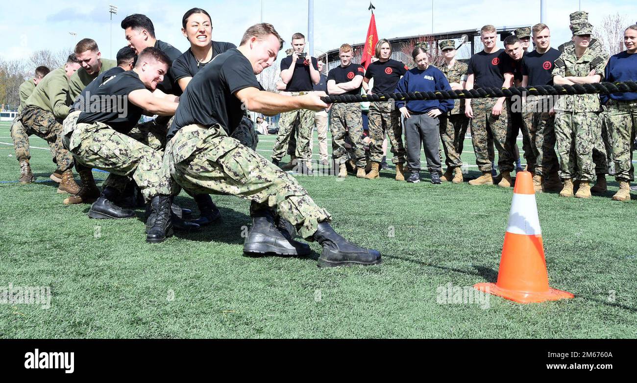 SEATTLE (9 avril 2022) – les membres du corps de formation des officiers de la Réserve navale de l'Université de Washington (NROTC) participent à un Tug-of-War sur le campus de l'Université de Washington lors du concours de la Marine du Nord-Ouest de 2022, 9 avril. Plus de 250 étudiants du NROTC et membres du personnel des universités de l'Idaho/Washington State, de l'Oregon State, de l'Utah et de Washington ont participé à des exercices militaires, des événements universitaires et sportifs lors du concours d'une journée. La marine du Nord-Ouest a lieu sur une base tournante entre les écoles depuis 1957. En raison de la pandémie COVID-19, c'était la première fois que toutes les unités étaient en mesure de faire des communications Banque D'Images