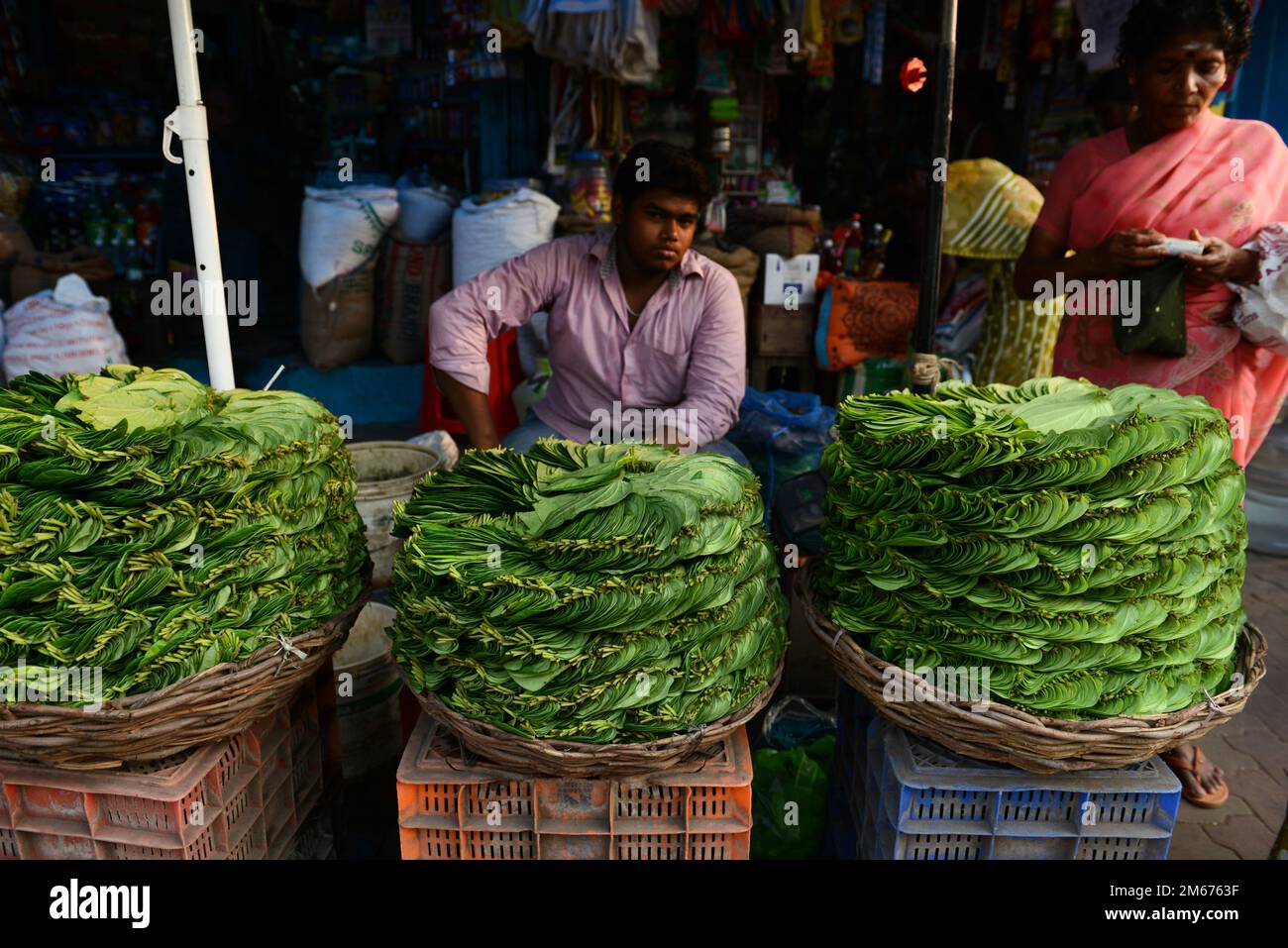 Un vendeur de feuilles de bétel sur le marché de Madurai, Tamil Nadu, Inde. Banque D'Images