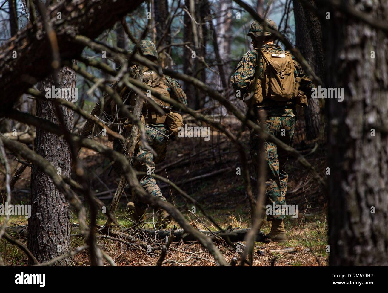 Marines avec le deuxième peloton, Bravo Company, caserne marine de Washington (MBW), effectue une patrouille à pied au cours de l'entraînement d'infanterie à la base militaire Quantico, Virginie, 13 avril 2022. Marines et MBW ont effectué un insert aérien dans MV-22 Ospreys, des patrouilles à pied et une formation de feu vivant pour perfectionner les compétences en infanterie. Banque D'Images