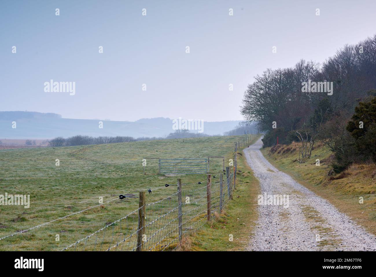 Zone humide danoise - Parc national de Rebild. Nature matinale - terre marécageuse. Un sol humide et boueux trop doux pour supporter un corps lourd. Parc national de Rebild, Jutland Banque D'Images